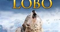 La Leyenda De La Montaña Del Lobo (Doblado) (1992)