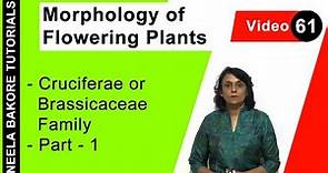 Morphology of Flowering Plants | NEET | Cruciferae or Brassicaceae Family - Part 1 | Neela Bakore