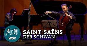 Camille Saint-Saëns – Le Cygne (Der Schwan) | WDR Sinfonieorchester