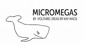 FULL AUDIOBOOK: Micromegas