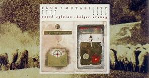David Sylvian & Holger Czukay / Flux & Mutability (Full Album)