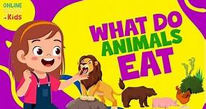 Animals and the Food They Eat | Omnivore | Carnivore | Herbivore | Science Lessons |What Animals Eat
