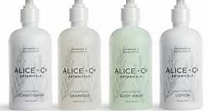 Alice + Co. Shampoo, Conditioner, Body Wash, Body Lotion - Fairfield by Marriott - TownePlace - SpringHill - Hotel Bath Amenities - Lavender & Eucalyptus - 8.5 oz Bottles - Hair & Body Care Set