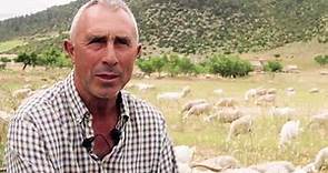 El cencerro de las ovejas | Entrevista a pastores de ovejas