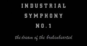 Industrial Symphony No. 1: The Dream of the Broken Hearted (1990)