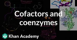 Enzyme cofactors and coenzymes | Biology | Khan Academy