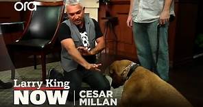 Cesar Millan on How He Became the 'Dog Whisperer' + Tips & Tricks