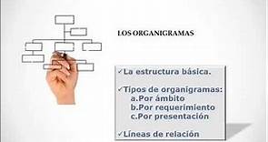 Los organigramas - tipos y reglas de organigrama
