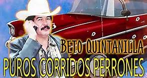 Beto Quintanilla - Corridos Perrones