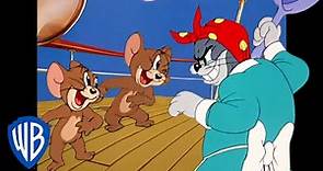 Tom y Jerry en Español | ¿Quién es más astuto? | WB Kids