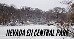 Visita Central Park en invierno