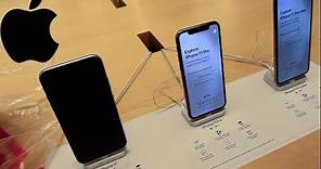 iPhone 11 Pro Max Shopping at the Apple Store