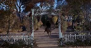 Cattle King (Tay Garnett, 1963) (SPA)