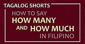 LEARN FILIPINO | ILAN, GAANO KARAMI AND MAGKANO | HOW TO SAY HOW MANY AND HOW MUCH | Tagalog Shorts