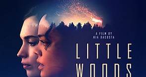 Little Woods - Movie Trailers