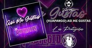 (Huapango) Así me gustas - Grupo Los Protegidos / 2023