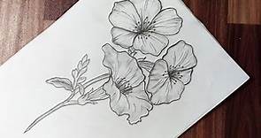 How to draw flowers easy step by step for beginners || flower drawing