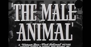 The Male Animal - Trailer