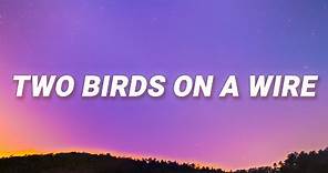 Regina Spektor - Two Birds On a Wire (Lyrics)