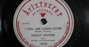 Muddy Waters - I Feel Like Going Home