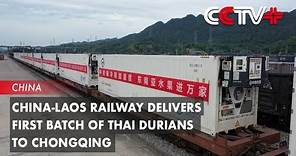 China-Laos Railway Delivers First Batch of Thai Durians to Chongqing