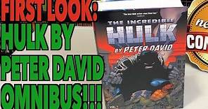 FIRST LOOK: Incredible Hulk by Peter David Omnibus Vol. 1