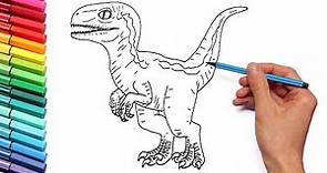 Drawing and Coloring Baby Raptor Blue From Jurassic World - Dinosaur Color Pages for Kids