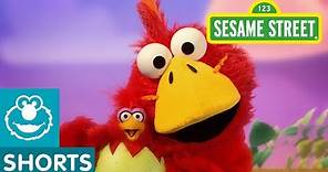 Sesame Street: Big Brother Bird | Elmo the Musical