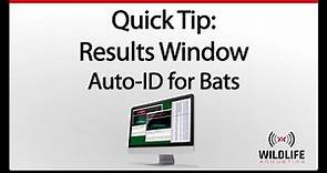 Kaleidoscope Pro Quick Tip: Auto-ID for Bats Results Window | Record and Identify Bat Sounds