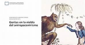 Colectiva Materia | Gorilas en la niebla del antropocentrismo | Seminario Hibridaciones | E03