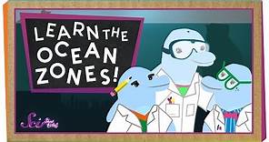 Let's Learn the Ocean Zones!