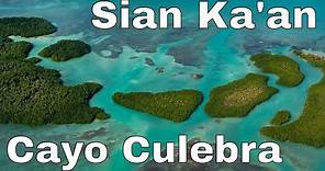 Exploring the Sian Ka'an Biosphere Reserve - Cayo Culebra