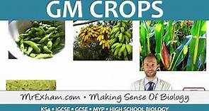 GM Crops - GCSE Biology (9-1)