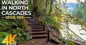 Walking the Autumn Forest Trails of North Cascades - 4K Virtual Hike with Relaxing Forest Sounds