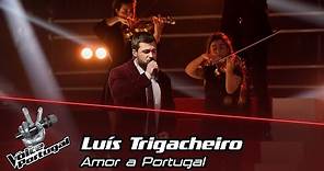 Luís Trigacheiro - "Amor a Portugal" | Final | The Voice Portugal