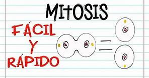 🌐 División celular: MITOSIS 🔬 | FASES | [Fácil y Rápido] | BIOLOGÍA |