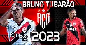 BRUNO TUBARÃO 2023