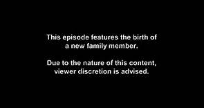 Three Wives One Husband S01E01 Welcome the Rock