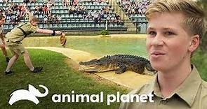 ¡Robert Irwin primera demostración alimentando cocodrilos! | Los Irwin | Animal Planet