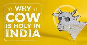 Why Are Cows Sacred In India ?