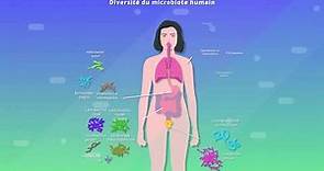 Microbiote humain et santé (SVT 2de)