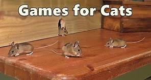 Cat Games : Mouse Watch TV ~ Mice for Cats to Catch 🐭