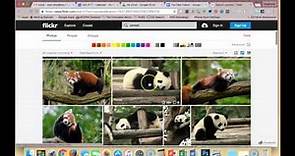 Using Flickr to find Creative Commons Licensed Photos