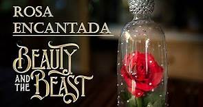 Rosa Encantada de Beauty and The Beast o La Bella y la Bestia