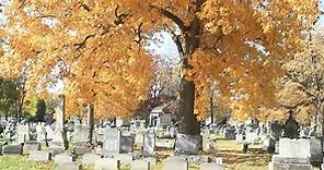 People & Places:A Walk Through Mount Hope Cemetery
