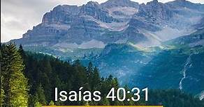 Isaías 40;31 -Versículo De La Biblia