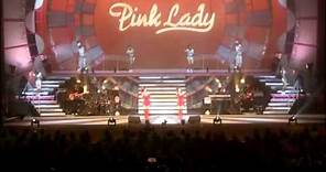 Pink Lady - ピンク・タイフーン - In the Navy Live - Unforgettable Final Ovation