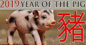 Year of the Pig 2019 | Chinese zodiac signs explained | Myth Stories