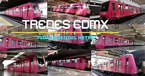 Trenes CDMX | Toda La RED STCM (FHD)