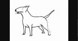 Dibujar perros: Perro Bull terrier - Dibujos para Pintar